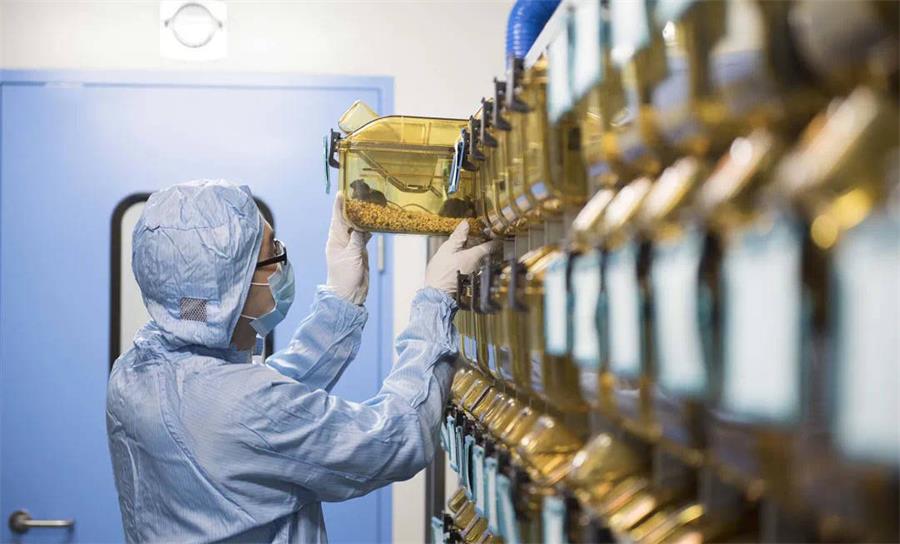 動物房實驗室規劃設計